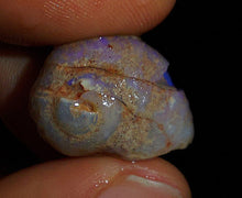 Load image into Gallery viewer, Opalised Saltwater Sea Snail Fossil Opal 27.4ct Shellfish Gastropoda 100%Natural
