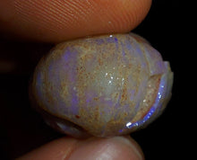 Load image into Gallery viewer, Opalised Saltwater Sea Snail Fossil Opal 27.4ct Shellfish Gastropoda 100%Natural