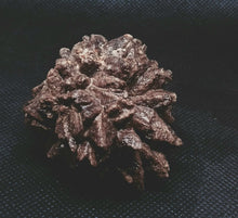 Load image into Gallery viewer, Whitw Cliff Pineapple Opal Potch Fossil no Color Ultra rare