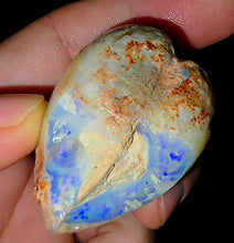 Load image into Gallery viewer, Gigantic Opalised Saltwater Shellfish Fossil Opal 330ct 100%Natural