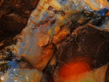 Load image into Gallery viewer, 2.9kg Gigantic Opened Yowah Nut