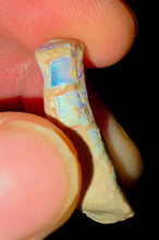 Load image into Gallery viewer, 6.91ct Crinoid Coober Pedy