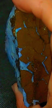 Load image into Gallery viewer, Huge Boulder Opal 241g/1205ct Strong Ocean Vivid Blue Quilpie - Australia Natural - Limanty