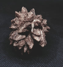 Load image into Gallery viewer, Whitw Cliff Pineapple Opal Potch Fossil no Color Ultra rare