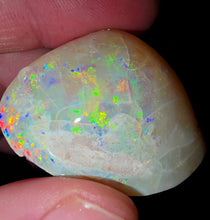 Load image into Gallery viewer, Rainbow Opalised Saltwater Shellfish Fossil Opal 114ct 100%Natural
