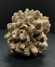 Load image into Gallery viewer, Whitw Cliff Pineapple Opal Potch Fossil no Color Ultra rare - Limanty