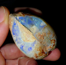 Load image into Gallery viewer, Gigantic Opalised Saltwater Shellfish Fossil Opal 330ct 100%Natural