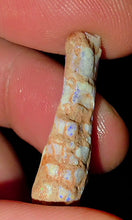 Load image into Gallery viewer, 6.91ct Crinoid Coober Pedy