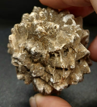 Load image into Gallery viewer, Whitw Cliff Pineapple Opal Potch Fossil no Color Ultra rare - Limanty