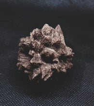 Load image into Gallery viewer, Whitw Cliff Pineapple Opal Potch Fossil no Color Ultra rare