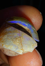 Load image into Gallery viewer, Opalised Saltwater Sea Snail Fossil Opal 27.4ct Shellfish Gastropoda 100%Natural