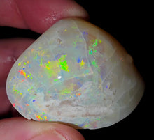 Load image into Gallery viewer, Rainbow Opalised Saltwater Shellfish Fossil Opal 114ct 100%Natural
