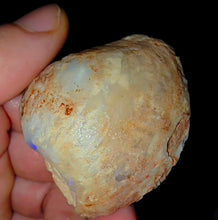 Load image into Gallery viewer, Gigantic Opalised Saltwater Shellfish Fossil Opal 330ct 100%Natural