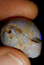 Load image into Gallery viewer, Opalised Saltwater Sea Snail Fossil Opal 27.4ct Shellfish Gastropoda 100%Natural