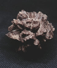 Load image into Gallery viewer, Whitw Cliff Pineapple Opal Potch Fossil no Color Ultra rare