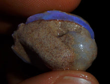 Load image into Gallery viewer, Opalised Saltwater Sea Snail Fossil Opal 27.4ct Shellfish Gastropoda 100%Natural