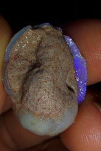 Load image into Gallery viewer, Opalised Saltwater Sea Snail Fossil Opal 27.4ct Shellfish Gastropoda 100%Natural