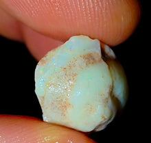 Load image into Gallery viewer, Opalised Saltwater Sea Snail Fossil Opal 11.77ct Shellfish Gastropoda 100%Natural