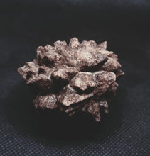 Load image into Gallery viewer, Whitw Cliff Pineapple Opal Potch Fossil no Color Ultra rare