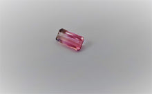 Load image into Gallery viewer, 1.03 ct Watermelon Tourmaline - Limanty