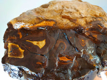 Load image into Gallery viewer, 2.8kg / 14000ct Strong Blue Boulder Opal Quilpie - Limanty