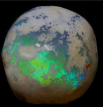 Load image into Gallery viewer, Opalised Yabby Button Fossil - Limanty