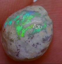 Load image into Gallery viewer, Opalised Yabby Button Fossil - Limanty