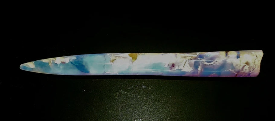 Nautilus Opalized Belemnite Fossil