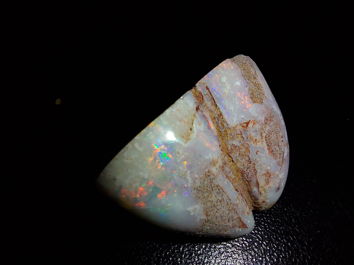 Opalised Clam Fossil 40.1ct - Limanty