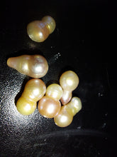 Load image into Gallery viewer, 6 Scallop Pearl - Limanty
