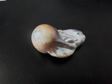 Load image into Gallery viewer, 47.87 Clam pearl
