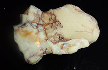 Load image into Gallery viewer, Prehistoric Australian Marsupial Skull Fossilized in Opal - A Lightning Ridge Jurassic Era
