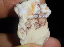 Load image into Gallery viewer, Prehistoric Australian Marsupial Skull Fossilized in Opal - A Lightning Ridge Jurassic Era
