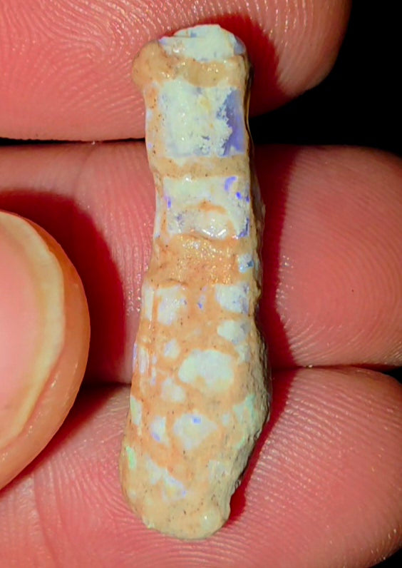 6.91ct Crinoid Coober Pedy