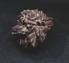 Load image into Gallery viewer, Whitw Cliff Pineapple Opal Potch Fossil no Color Ultra rare
