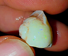Load image into Gallery viewer, Opalised Saltwater Sea Snail Fossil Opal 11.77ct Shellfish Gastropoda 100%Natural

