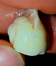 Load image into Gallery viewer, Opalised Saltwater Sea Snail Fossil Opal 11.77ct Shellfish Gastropoda 100%Natural
