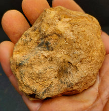 Load image into Gallery viewer, Robert 4x Yowah Nuts Boulder Opals - Limanty
