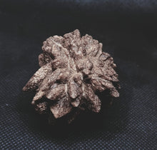 Load image into Gallery viewer, Whitw Cliff Pineapple Opal Potch Fossil no Color Ultra rare

