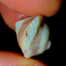 Load image into Gallery viewer, Opalised Saltwater Sea Snail Fossil Opal 11.77ct Shellfish Gastropoda 100%Natural
