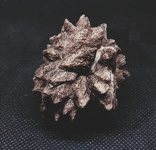 Load image into Gallery viewer, Whitw Cliff Pineapple Opal Potch Fossil no Color Ultra rare
