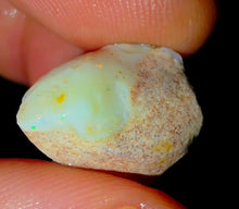 Load image into Gallery viewer, Opalised Saltwater Sea Snail Fossil Opal 11.77ct Shellfish Gastropoda 100%Natural
