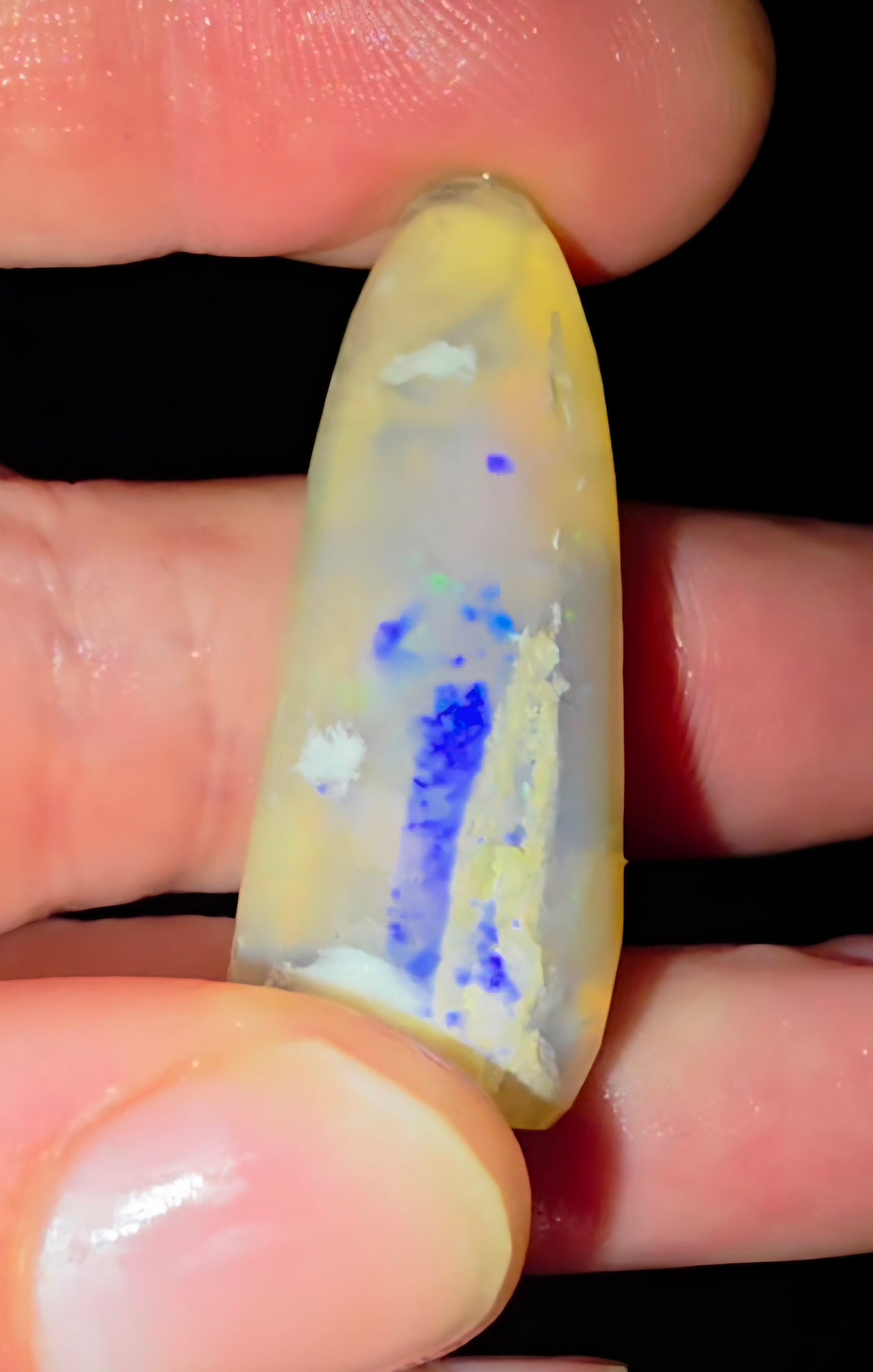 43.20ct Huge Belemnite Fossil Opal Coober Pedy