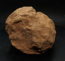 Load image into Gallery viewer, Ehren 3x Boulder Opals 920ct, 875ct, 2610ct - Limanty
