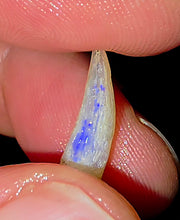 Load image into Gallery viewer, Opalised Australian Plesiosaur Fossil Tooth Coober Pedy

