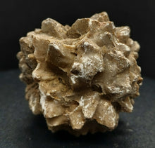 Load image into Gallery viewer, Whitw Cliff Pineapple Opal Potch Fossil no Color Ultra rare - Limanty
