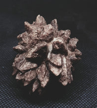 Load image into Gallery viewer, Whitw Cliff Pineapple Opal Potch Fossil no Color Ultra rare
