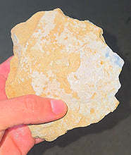 Load image into Gallery viewer, Gigantic Rough Opal Coober Pedy 1110ct - Limanty

