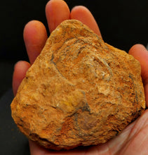 Load image into Gallery viewer, Robert 4x Yowah Nuts Boulder Opals - Limanty
