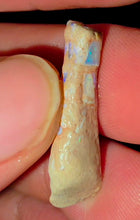 Load image into Gallery viewer, 6.91ct Crinoid Coober Pedy
